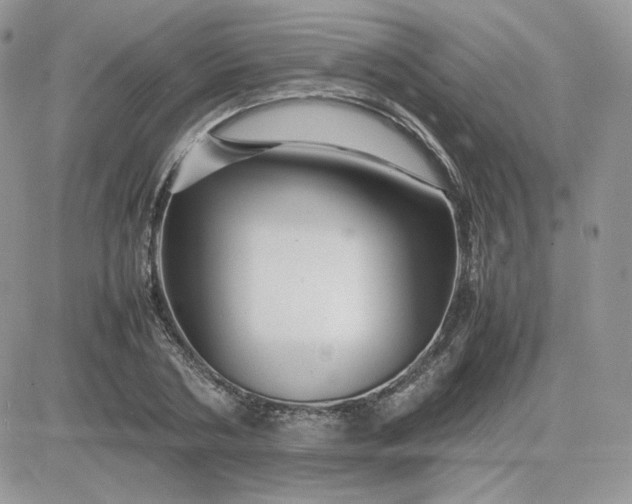 X0000081430786200701261821