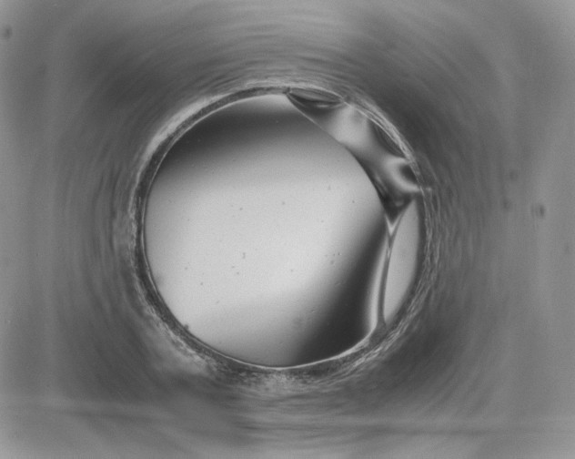 X0000081430787200701261821