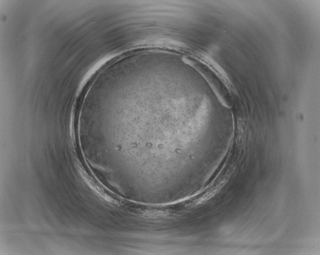 X0000081430788200701261821