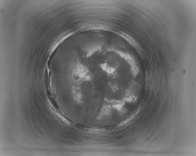 X0000081430790200701261821