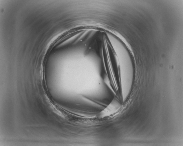 X0000081430791200701261821