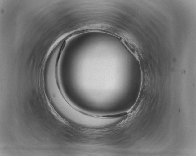 X0000081430792200701261821