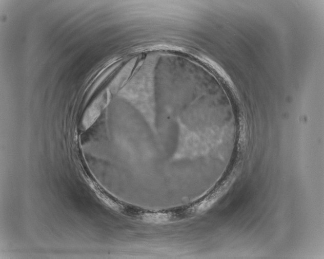 X0000081430793200701261821