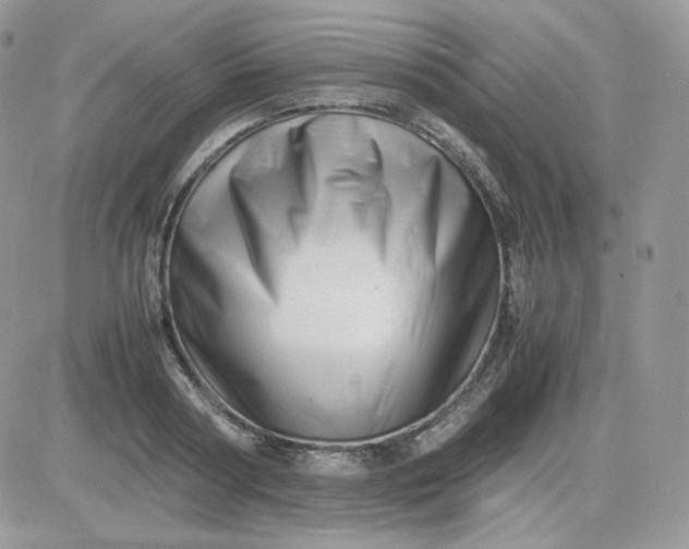 X0000081430794200701261821