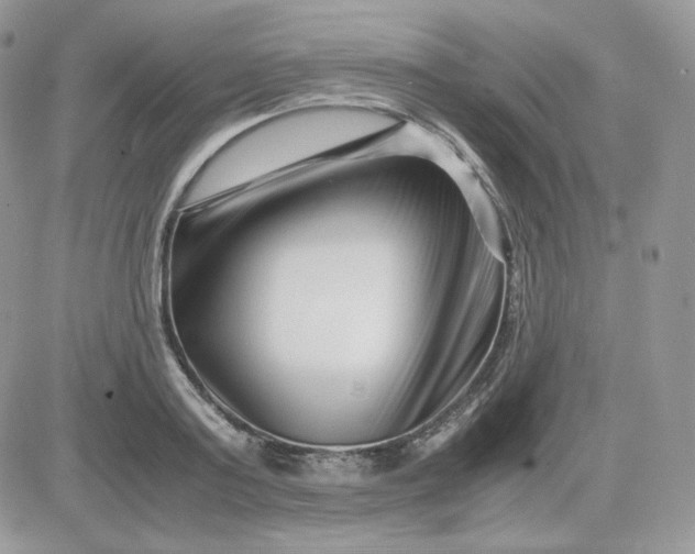 X0000081430795200701261821