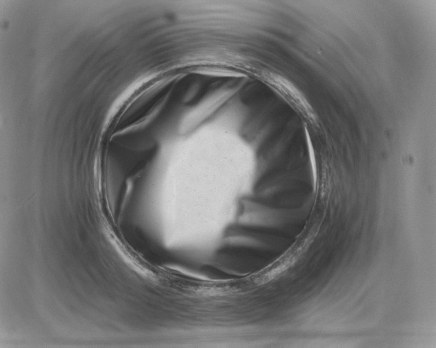 X0000081430796200701261821