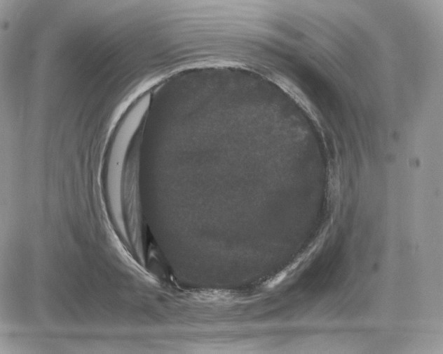 X0000081430797200701261821