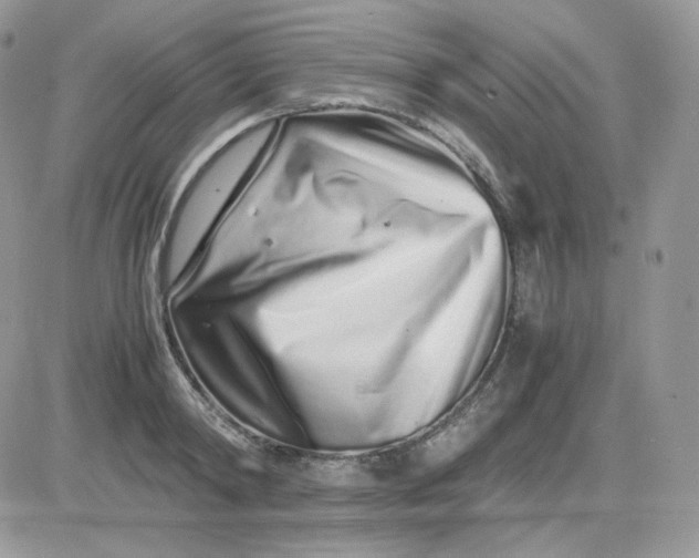 X0000081430798200701261821