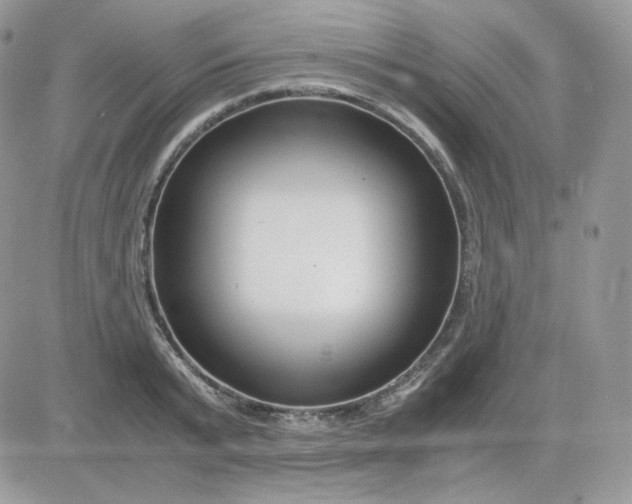 X0000081430799200701261821