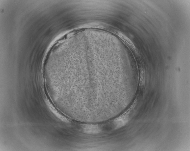 X0000081430800200701261821