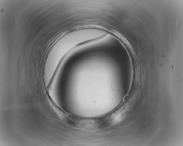 X0000081430801200701261821