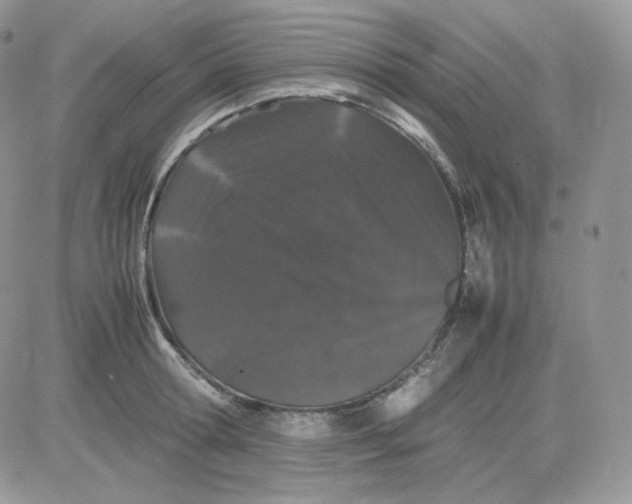 X0000081430802200701261821