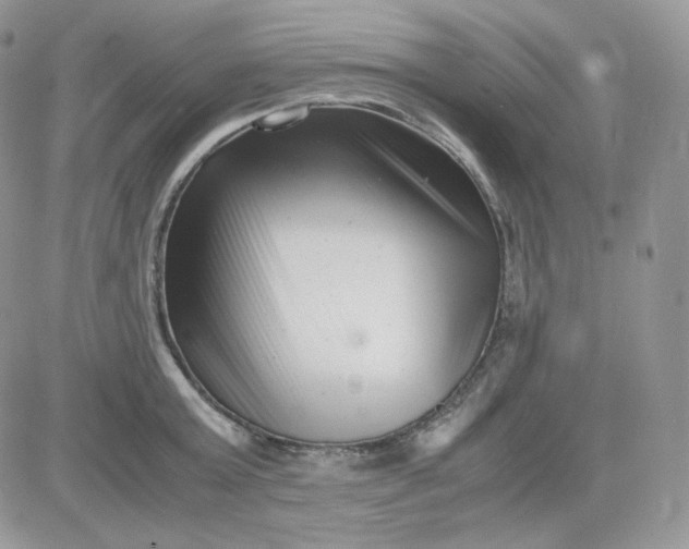 X0000081430803200701261821