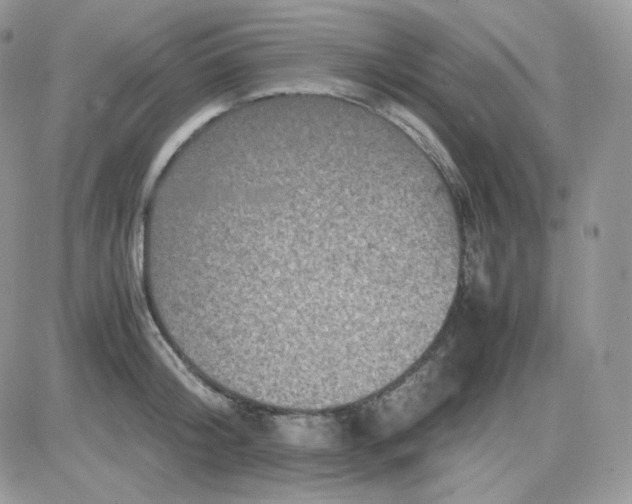 X0000081430804200701261821