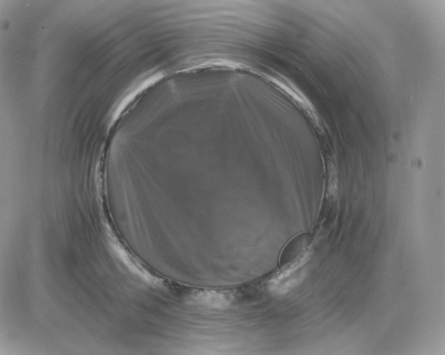 X0000081430806200701261821