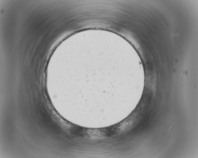 X0000081430807200701261821