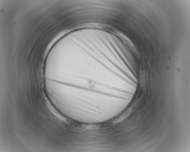 X0000081430808200701261821