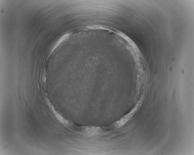 X0000081430809200701261821