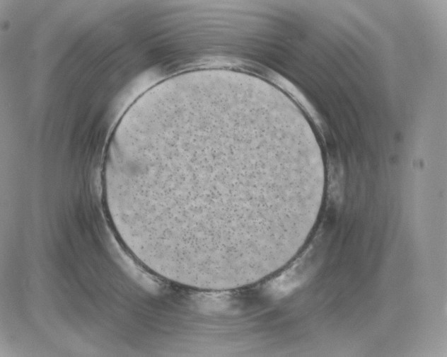 X0000081430810200701261821