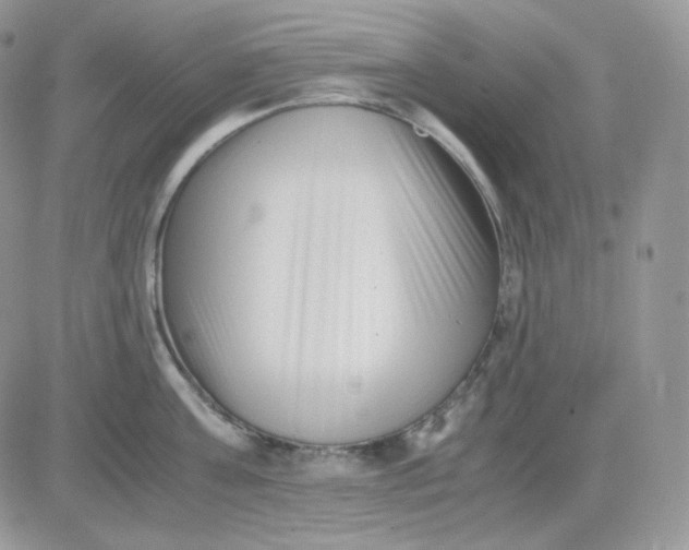 X0000081430811200701261821