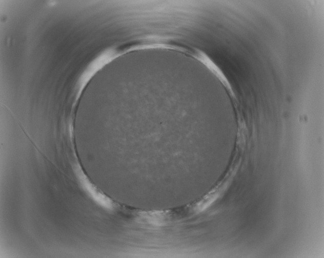 X0000081430813200701261821