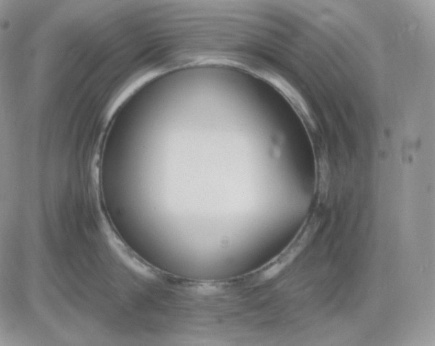 X0000081430814200701261821