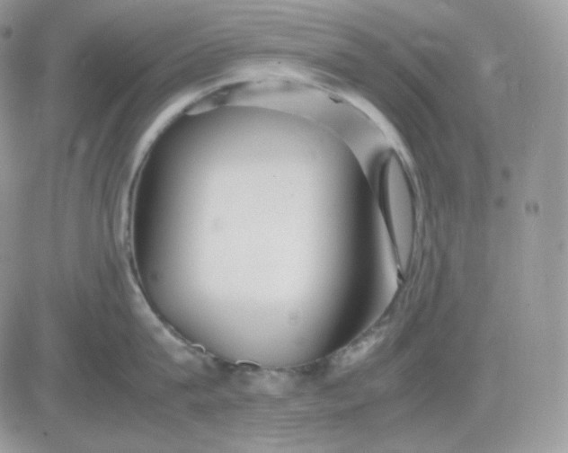 X0000081430815200701261821