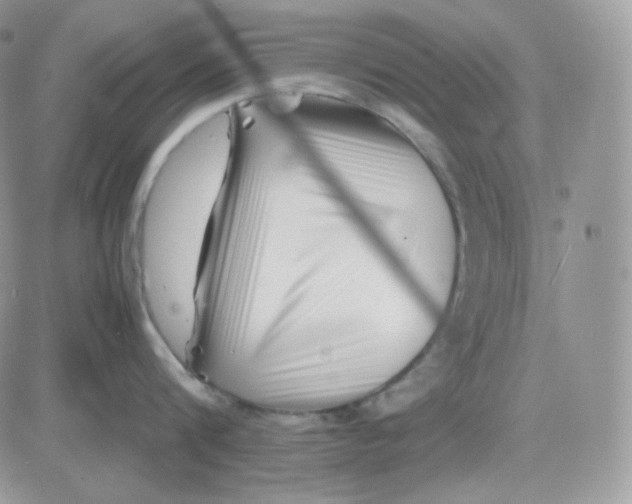 X0000081430816200701261821