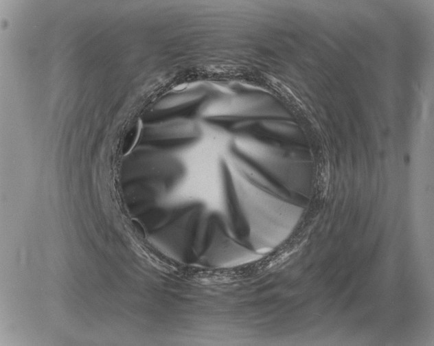 X0000081430817200701261820