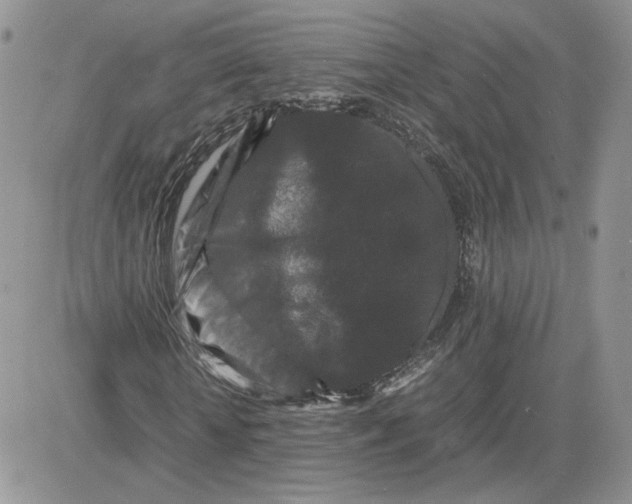 X0000081430818200701261820