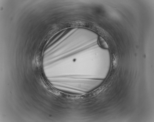 X0000081430819200701261820