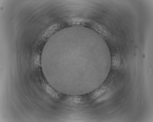 X0000081430820200701261820