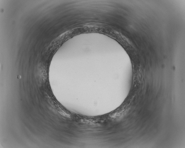 X0000081430821200701261820