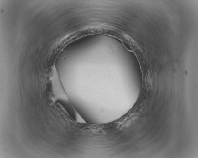 X0000081430822200701261820