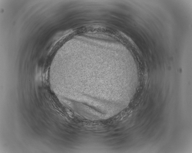 X0000081430823200701261820