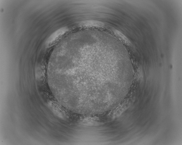 X0000081430824200701261820