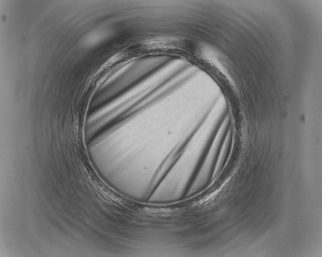 X0000081430825200701261820