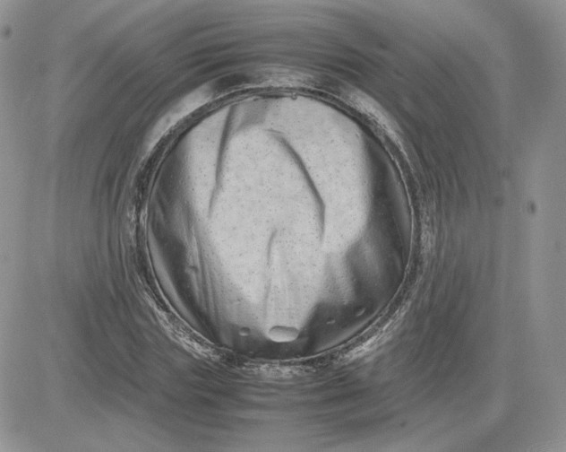 X0000081430827200701261820