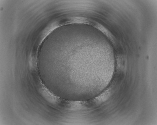 X0000081430828200701261820