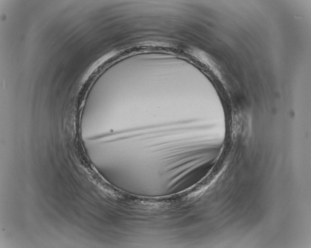 X0000081430829200701261820