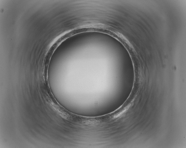 X0000081430830200701261820