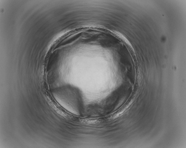 X0000081430831200701261820