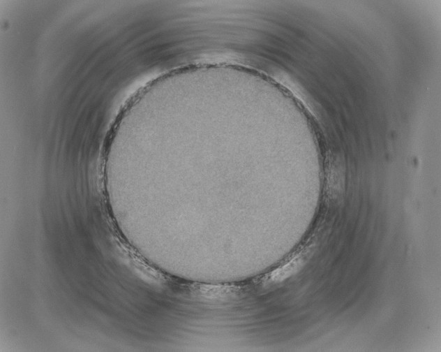 X0000081430832200701261820