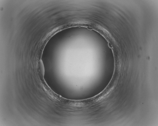 X0000081430833200701261820