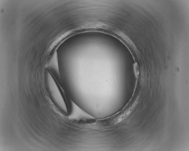 X0000081430834200701261820