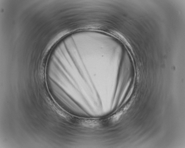 X0000081430835200701261820