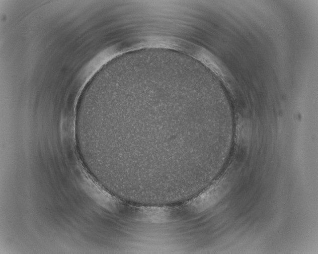 X0000081430836200701261820