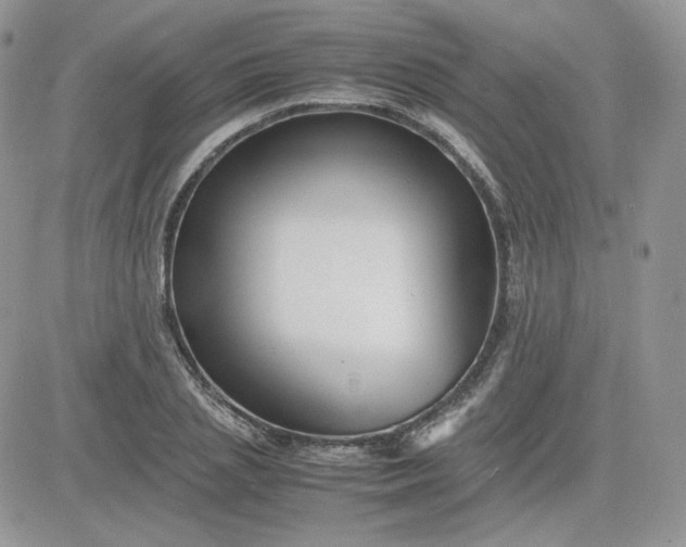 X0000081430837200701261820