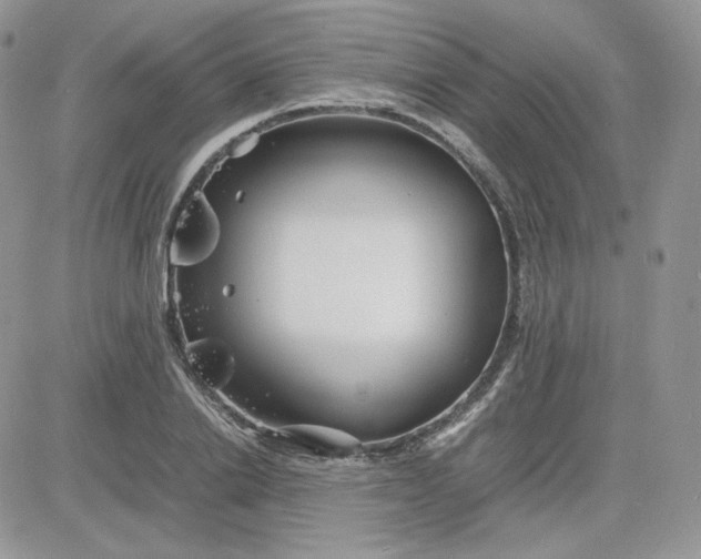 X0000081430838200701261820