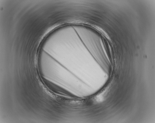 X0000081430839200701261820